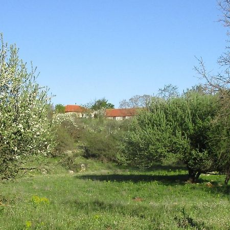 Arcadian Stone House In A Quiet Landscape, Leonidion Villa Poulithra Bagian luar foto